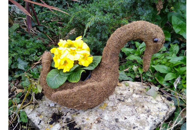 Salim Swan Planter & Seasonal Plant Salim Swan Planter & Seasonal Plant