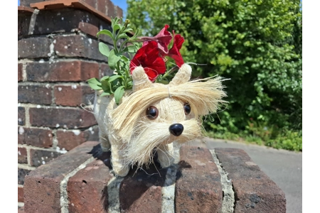 Dog Planter & Flowers Dog Planter & Flowers