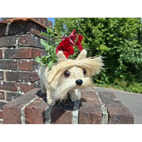 Dog Planter & Flowers