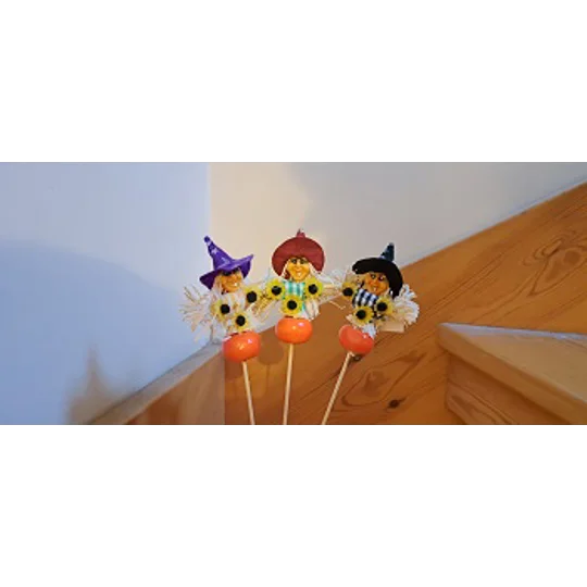 Halloween Witch Picks