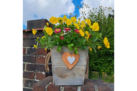 Pair of Wooden Heart Planters Pair of Wooden Heart Planters
