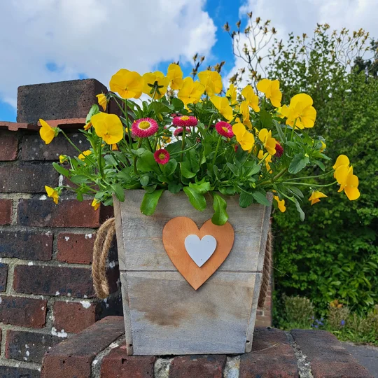 Pair of Wooden Heart Planters