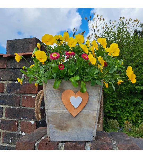 Pair of Wooden Heart Planters