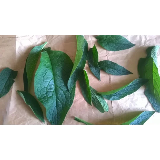 Joint & Muscle Rub
