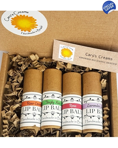 Set of 4 Beeswax Lip Balms