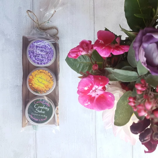 Herbal Salves Gift Set