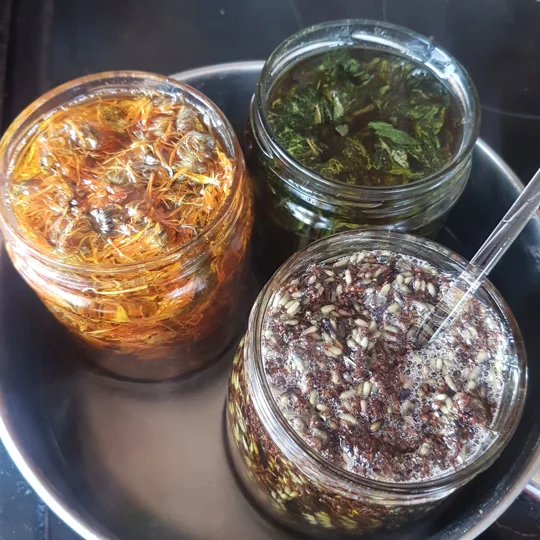 Three glass jars, filled with different herbal infusions. The jars are sitting in a shallow pan of hot water, infusing. The first jar contains calendula petals infusing in cold pressed organic sunflower oil, the second jar contains comfrey leaves infusing in organic olive oil, and the third jar contains lavender petals infusing in cold pressed organic sunflower oil.
