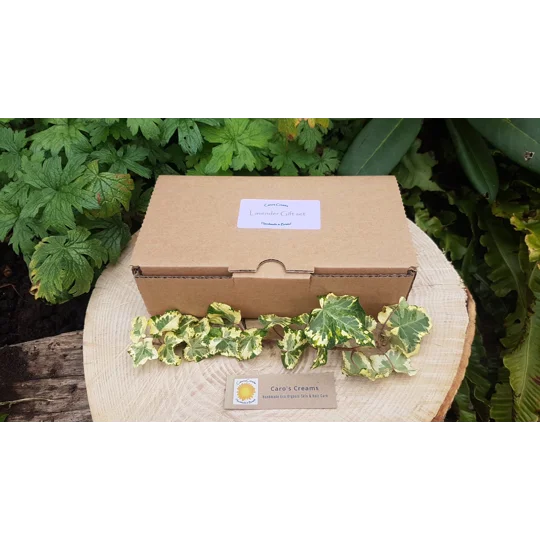Bumper Lavender Gift Set