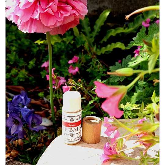 Organic Lip Balms