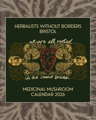 2026 Medicinal Mushroom Calendar