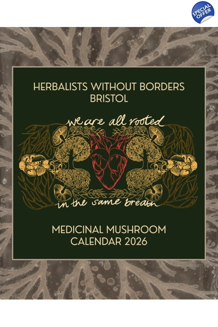 2026 Medicinal Mushroom Calendar