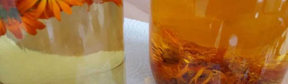 Infusing Calendula oil