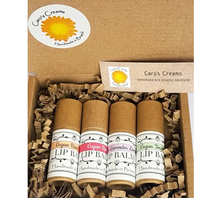 Set of 4 Vegan Lip Balms