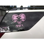 Custom Vehicle Decals