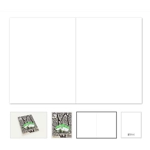 Madrona folding Pack of 10 Greeting Cards