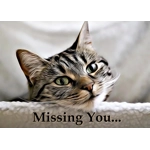Missing You cute kitten card Printable Thinking Of You card, Download, I Miss You Card, Card Templa