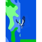 Custom Seattle Hawks Men's T-shirt