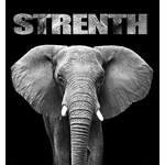 Elephant Strength Canvas Print