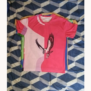 Seattle Lady Hawks T Shirt