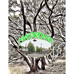 Madrona folding Pack of 10 Greeting Cards