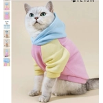 Sm Dog/Cat colorblock hoodie