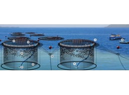  Fish Farming-Water Quality