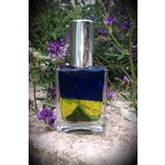 Εύνοια στα οικονομικα