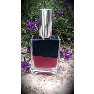 Ερωτική Εύνοια