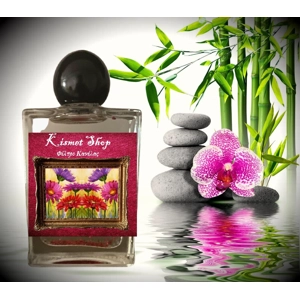 Φιλτρο κανελας