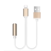 iPhone Lightning to Headphone & USB jack