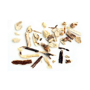 Echinacea