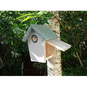 Traditional Tapered Sides Nest Box. Green and beige