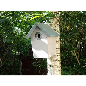 Traditional Tapered Sides Nest Box. Green and beige