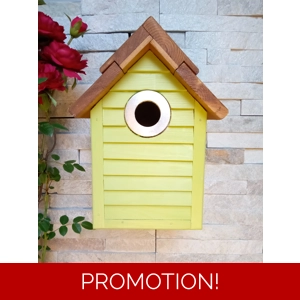 Beach Hut Nest Box. Spring green