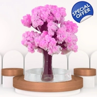 Magic growing Cherry Tree