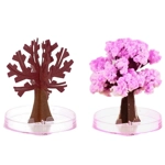 Magic growing Cherry Tree Magic growing Cherry Tree