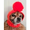 pug dog bobble hat
