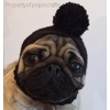 pug dog bobble hat