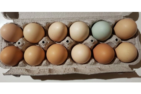 Farm Fresh Eggs