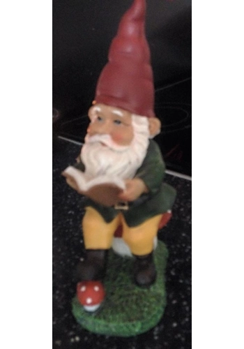 Reading gnome
