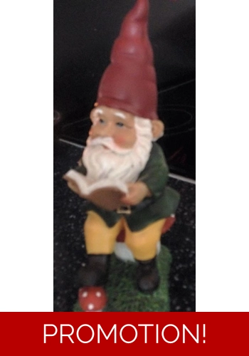 Reading gnome