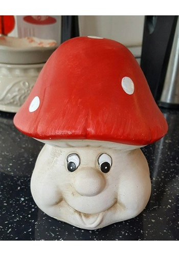 Cute toadstall mould