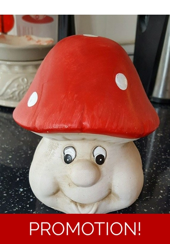 Cute toadstall mould