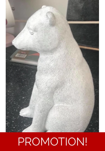 Stunning Polar bear mould