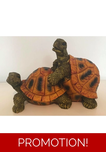 Mould for making naughty Tortoise