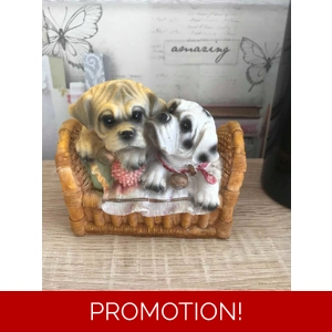 Cute dogs in basket