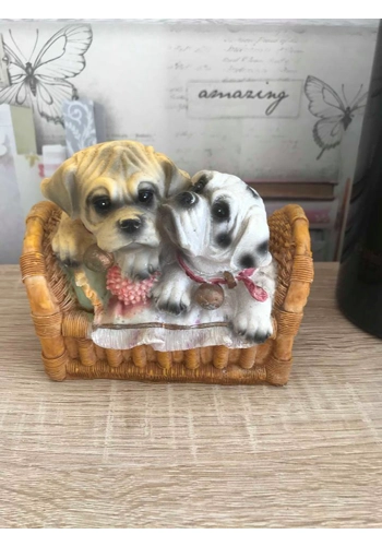 Cute dogs in basket