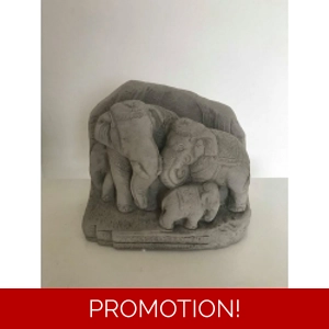 Lovely elephant family