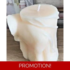 Latex mould for making this elephant candle mould