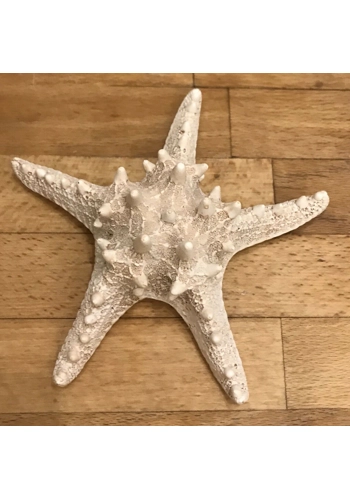 latex mould for making this star fish